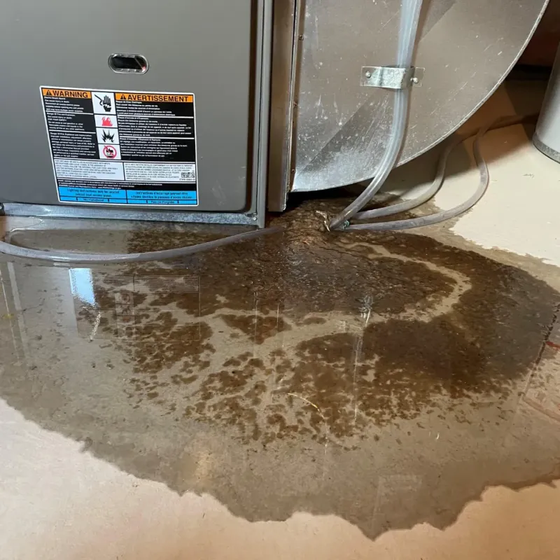 Appliance Leak Cleanup in Stacy, MN